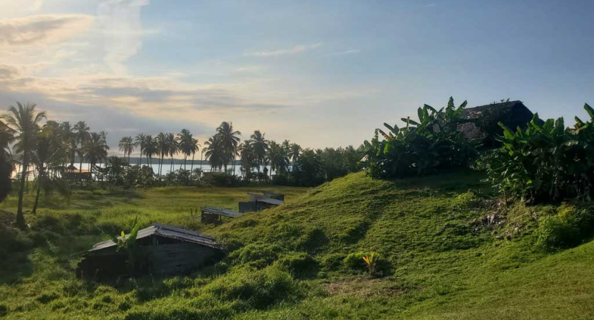 Small structures rest amid greenery and palm trees. In the distance, you can see a blue body of water. 